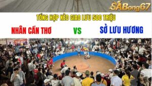 TỔNG HỢP KÈO GIAO LƯU 500 TRIỆU