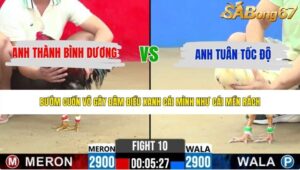 TRẬN 10 CPC2 25/5/2026
