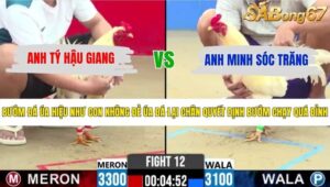 TRẬN 12 CPC2 30/5/2026