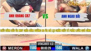 TRẬN 12 CPC3 23/5/2026
