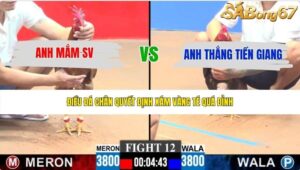 TRẬN 12 CPC3 24/5/2026