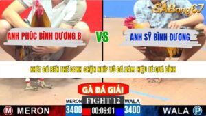 TRẬN 12 CPC3 25/5/2026