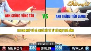 TRẬN 12 CPC3 28/5/2026