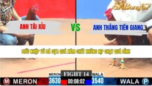 TRẬN 14 CPC3 24/5/2026