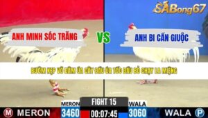 TRẬN 15 CPC2 27/5/2026