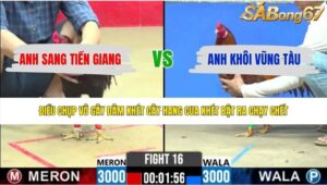 TRẬN 16 CPC2 31/5/2026