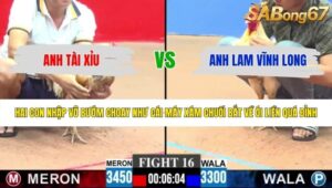 TRẬN 16 CPC3 31/5/2026