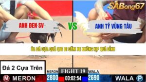 TRẬN 19 CPC3 28/5/2026