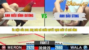 TRẬN 2 CPC2 29/5/2026