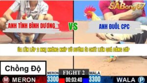 TRẬN 2 CPC3 25/5/2026