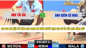 TRẬN 2 CPC3 31/5/2026