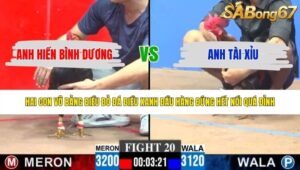 TRẬN 20 CPC3 31/5/2026
