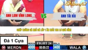 TRẬN 24 CPC3 24/5/2026