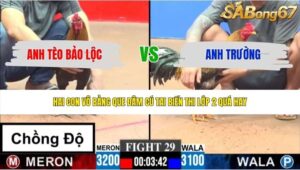 TRẬN 29 CPC3 31/5/2026