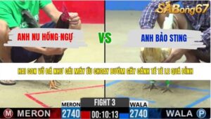 TRẬN 3 CPC2 29/5/2026