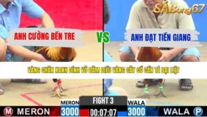 TRẬN 3 CPC2 31/5/2026