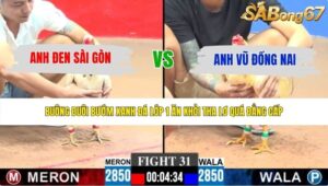TRẬN 31 CPC3 28/5/2026
