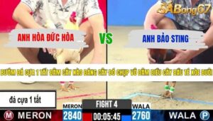 TRẬN 4 CPC2 27/5/2026
