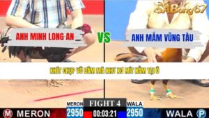 TRẬN 4 CPC3 28/5/2026