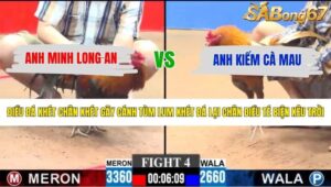 TRẬN 4 CPC3 31/5/2026