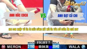 TRẬN 7 CPC3 25/5/2026