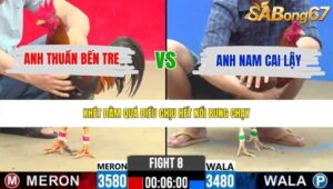 TRẬN 8 CPC2 30/5/2026