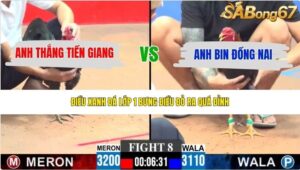 TRẬN 8 CPC3 28/5/2026