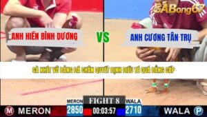 TRẬN 8 CPC3 31/5/2026