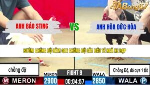TRẬN 9 CPC2 27/5/2026