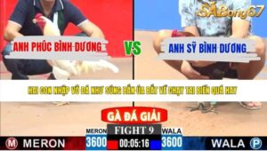 TRẬN 9 CPC3 25/5/2026