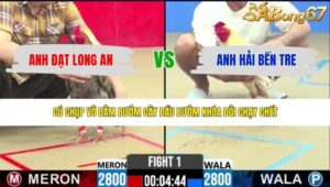 TRẬN 1 CPC2 2/6/2026