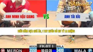 TRẬN 1 CPC3 4/6/2026