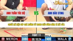 TRẬN 11 CPC2 5/6/2026