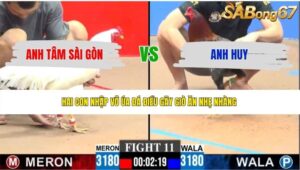 TRẬN 11 CPC3 7/6/2026