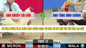 TRẬN 12 CPC2 1/6/2026