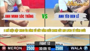 TRẬN 12 CPC2 5/6/2026