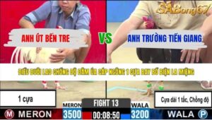 TRẬN 13 CPC2 3/6/2026