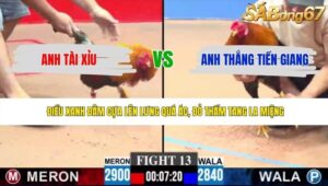 TRẬN 13 CPC3 4/6/2026