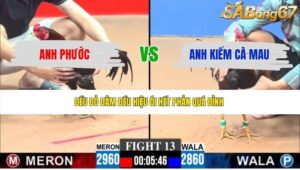 TRẬN 13 CPC3 6/6/2026