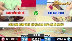 TRẬN 14 CPC2 3/6/2026
