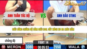 TRẬN 14 CPC2 5/6/2026
