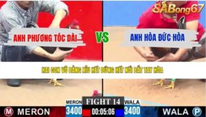 TRẬN 14 CPC3 8/6/2026