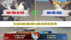TRẬN 15 THƯỜNG PHƯỚC 7/6/2026
