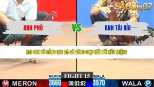 TRẬN 15 CPC3 7/6/2026