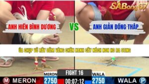 TRẬN 16 CPC2 1/6/2026
