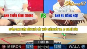 TRẬN 16 CPC2 5/6/2026