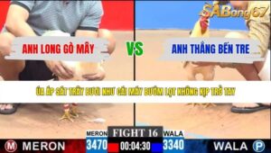 TRẬN 16 CPC3 1/6/2026
