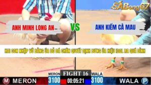 TRẬN 16 CPC3 8/6/2026