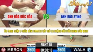 TRẬN 18 CPC2 5/6/2026