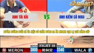 TRẬN 18 CPC3 7/6/2026
